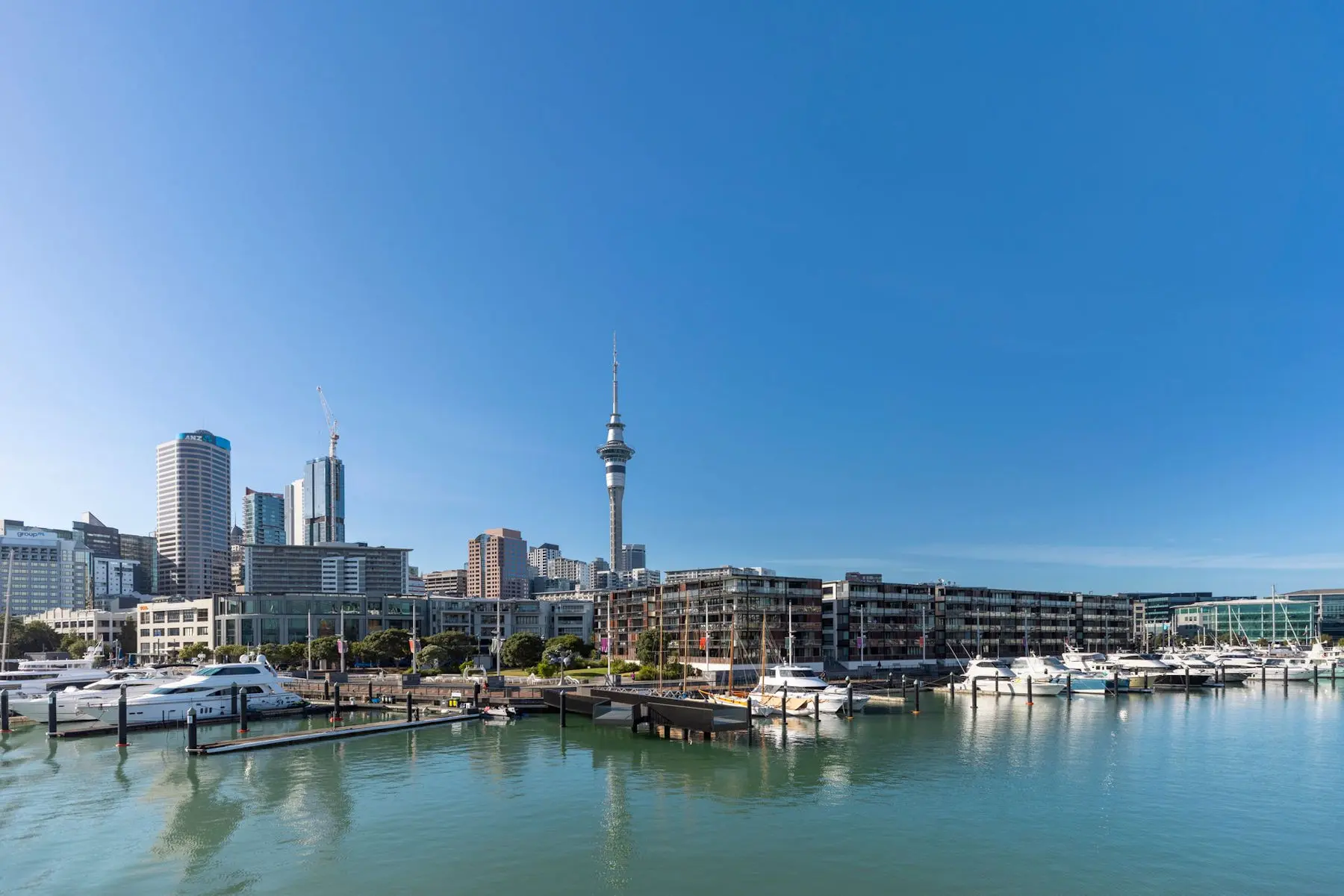 Image of Auckland Harbour