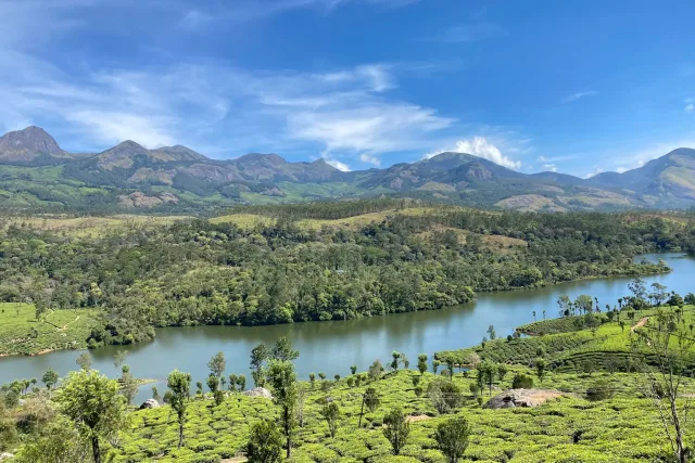 Image of the beautiful river and hills near Munnar