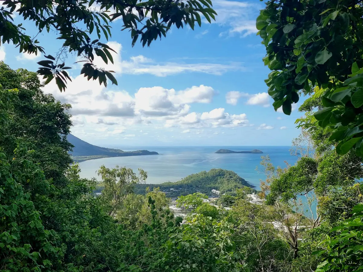 View overlooking Cairns, Queensland.