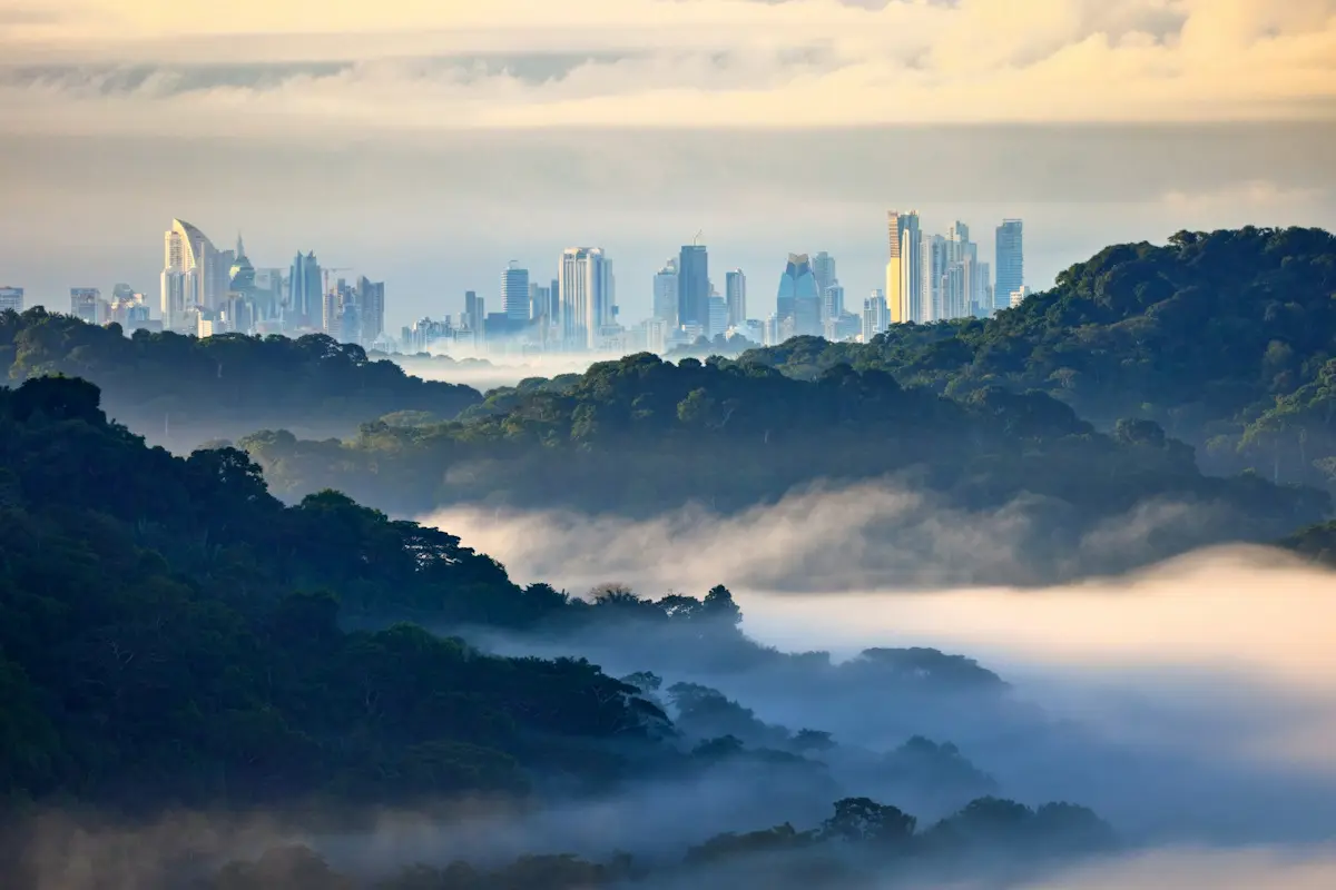 View of Panama City taken from the rain forest